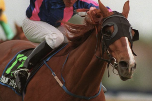 The billionaire who made horse racing his passion